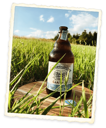 Grevensteiner Helles Genießen